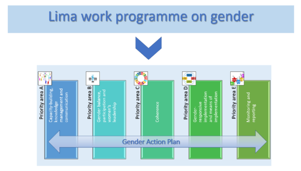 The Lima work programme on gender identifies 5 priority areas